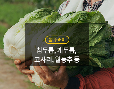 봄꾸러미