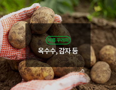 여름꾸러미